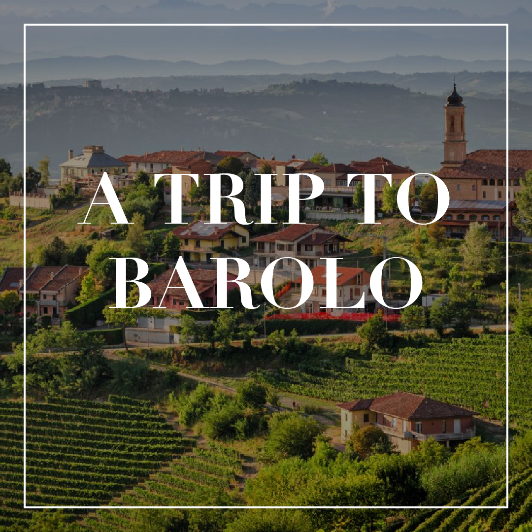 (Interest List) A Trip to Barolo | November 28-December 4th, 2027