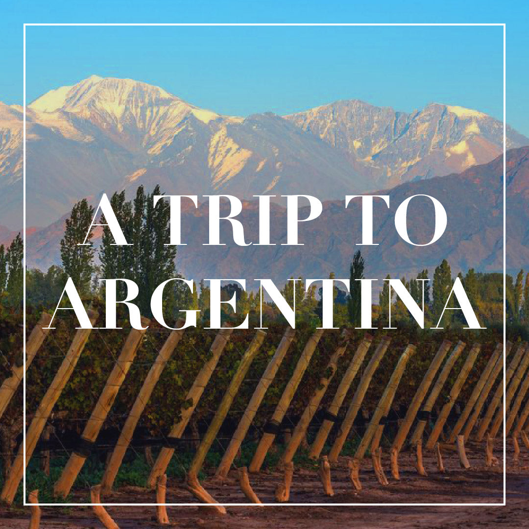 A Trip to Argentina through WineCloudInc