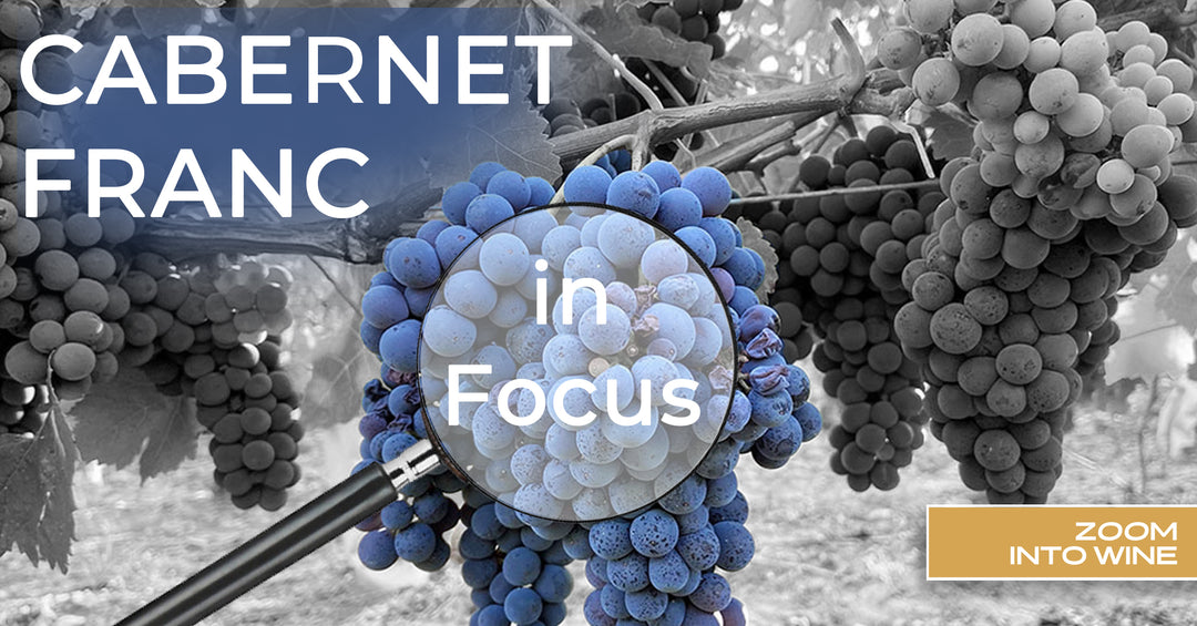 Zoomintowine.com presents A Tasting and Study of Cabernet Franc
