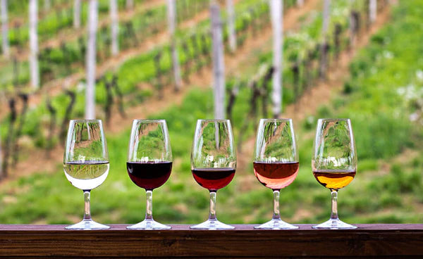 Understanding Taste | How To Taste Wine
