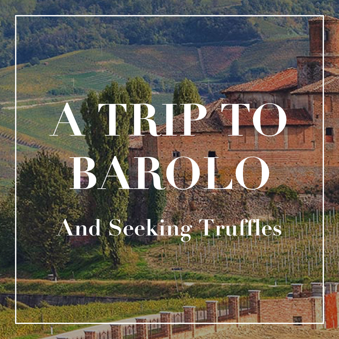 A Trip to Barolo (and Seeking Truffles) 