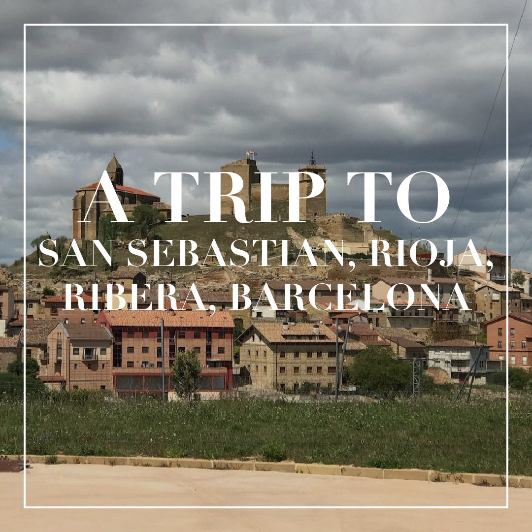  A Trip to San Sebastian, Rioja, Ribera, Barcelona